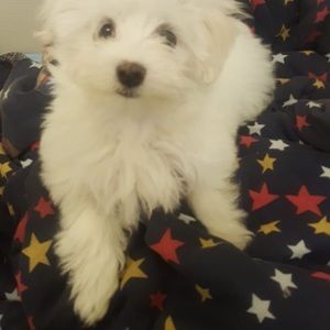 Meet your Posher, Marie